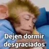 Monos con Frases🐒✨ (jqps2fyvbh)