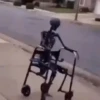 لا تفوت هذه الخمسة (rcsh5v9d8g)