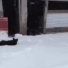 [FUNNY FAILS]  ️ (4skpr85n9f)