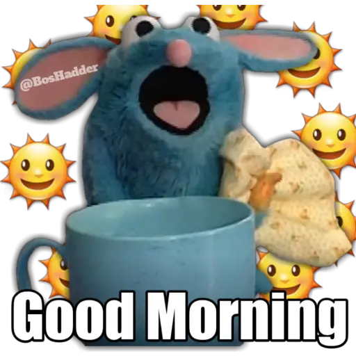 @BosHadder Good Morning (mw296knsh3)