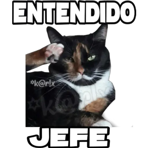 ENTENDIDO *k@r!x JEFE (kr7shf6ygb)