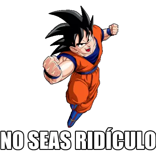 NO SEAS RIDÍCULO (2p5dxjfztn)