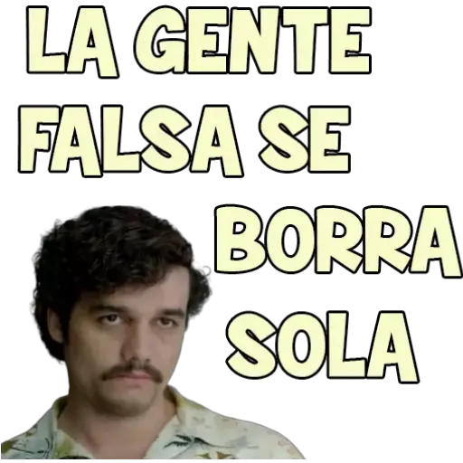 LA GENTE FALSA SE BORRA SOLA (cb7y2g8d5p)