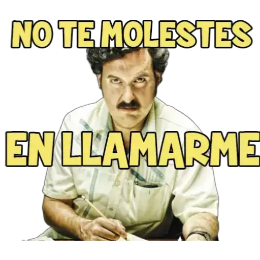 NO TEMOLESTES ENLLAMARME (nvk3msq9p2)