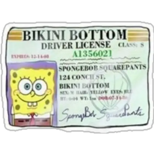 BIKINI BOTTOM DRIVER LICENSE CLASS S A1356021 ENPRES 15-10 (4yfr5cgtnm)