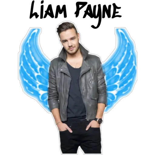 LIAM PAYNE (k4h8wrptmf)