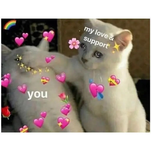 my love & support you (bhygj9dsc6)