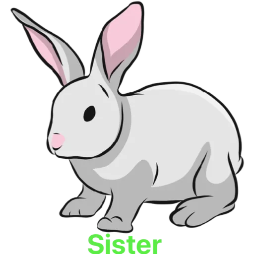 Sister (57nxfpkdgb)