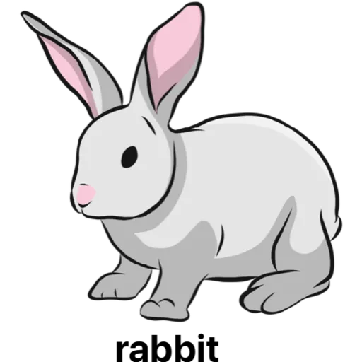 rabbit (xznt5wsyj2)