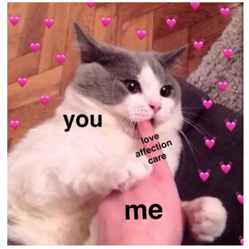 you love affection care me (r65tks98cx)