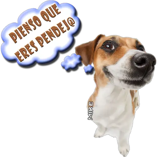 PIENSO QUE ERES PENDEJO MIKE (69rbk8ws3m)