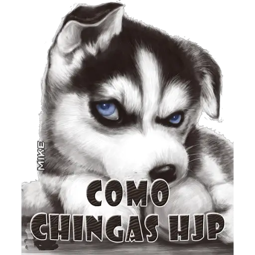 COMO CHINGAS HJP MIKE (8vwd4z6732)