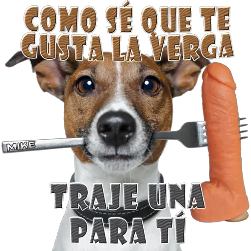 COMO SÉ QUE TE GUSTA LA VERGA MIKE TRAJE UNA PARA TÍ (nwpcfx8sjm)