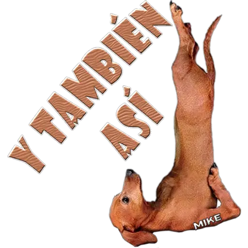 MIKE Y TAMBIÉN ASÍ (jnv4hfbmzx)