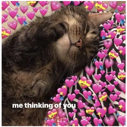 me thinking of you (hqmw598xvz)