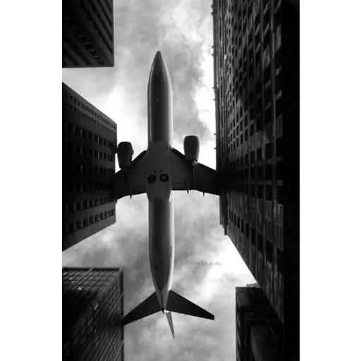 أبيض وأسود 2 (yhbgsrm5n2)