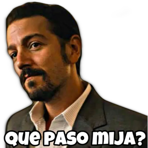 Que PASO MIJA? (sbzxdr9n4p)
