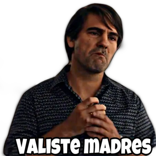 VALISTE MADREes (sm497bgzyd)