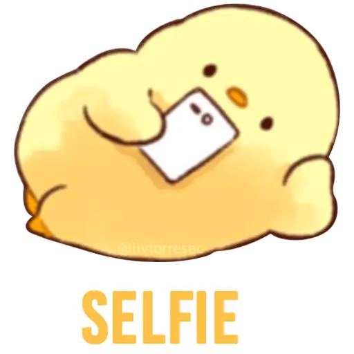 @livtorreser SELFIE (9236vzhqks)