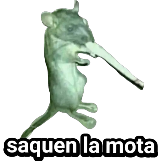 saquen la mota (wr7typ2sgh)