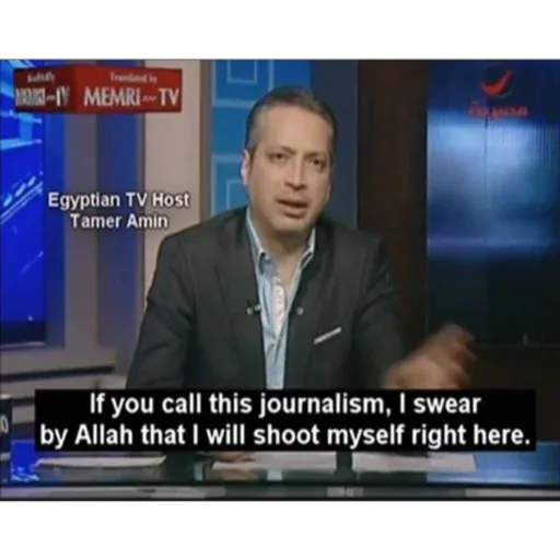 Sully - MEMRI-TV Egyptian TV Host Tamer Amin If you call (ptv7w46kjr)