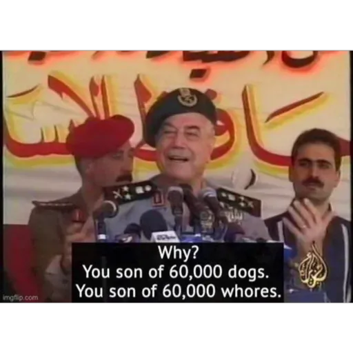 imgflip.com Why? You son of 60,000 dogs. You son of 60,000 (ysdn8m4jkt)