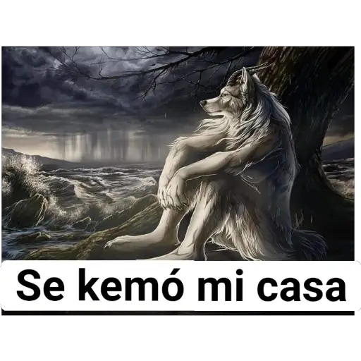 Se kemó mi casa (k6hn4bt27c)