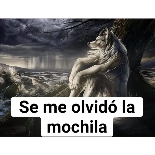Se me olvidó la mochila (hd7jvqsn6f)