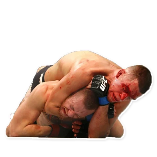 Fighters UFC MMA (y82frtknp9)