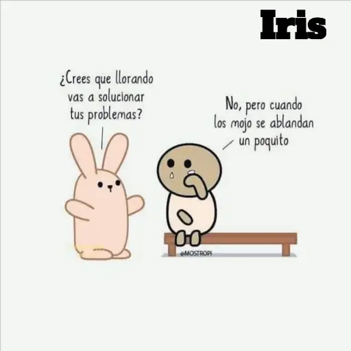 ¿Crees que llorando vas a solucionar tus problemas? 00 Iris (c2m8wtbvgr)
