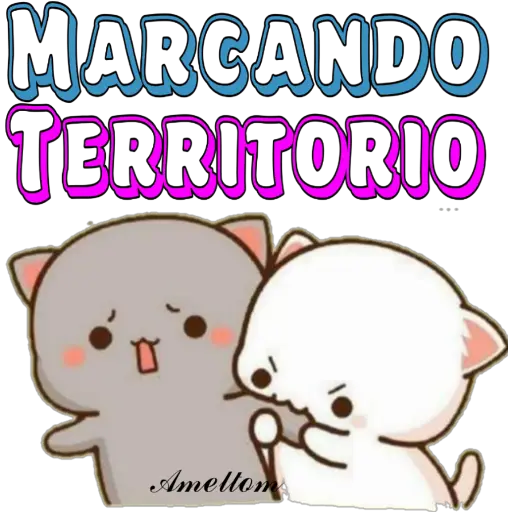 MARCANDO TERRITORIO Amellom (8j94cspnqr)