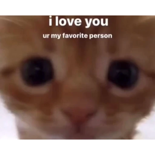 i love you ur my favorite person (gzd7m5yj6b)