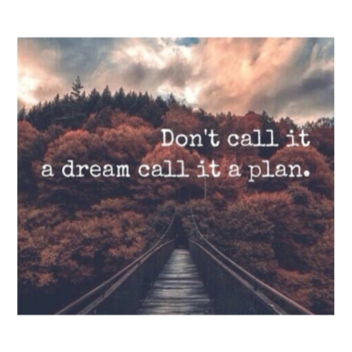 Don't call it a dream call it a plan. (65pfv8gqtc)