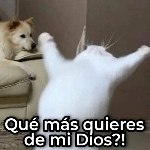 Mix de Animalitos! 🐶 (mx79rkp8q5)