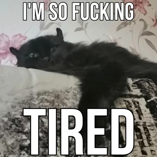I'M SO FUCKING TIRED (k2hv7jtrpq)