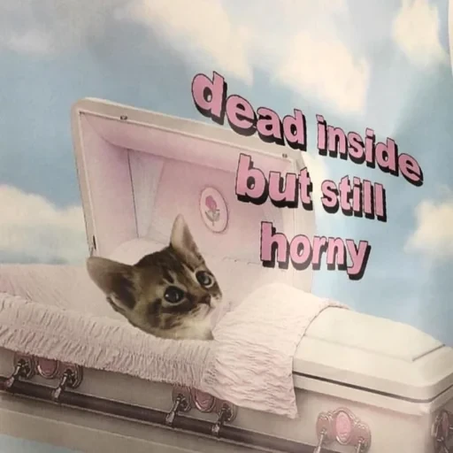 dead inside but still horny (p4vwt7gsmj)