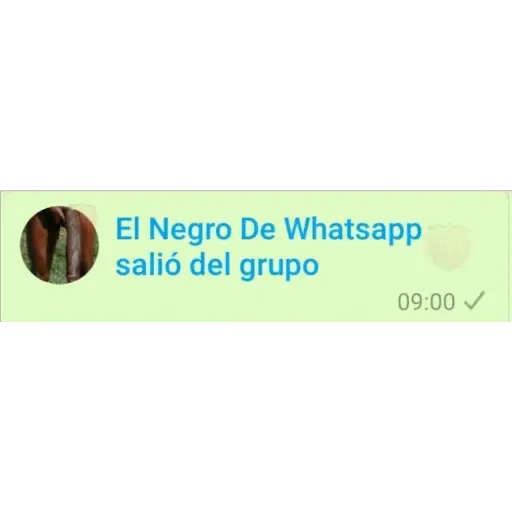 El Negro De Whatsapp salió del grupo 09:00 ✓ (sbx8h3mdv4)
