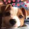 حب (vwd2bzt4qy)