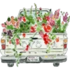 طبيعة (ym83jkc4xq)