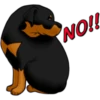 كلاب الروت وايلر 🐕 (rcnjghw3qy)
