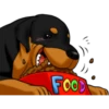 كلاب الروت وايلر 🐕 (zjc9f85t2k)