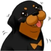 كلاب الروت وايلر 🐕 (n37zbc2xht)
