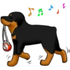 كلاب الروت وايلر 🐕 (4zyh72bjxn)