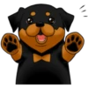 كلاب الروت وايلر 🐕 (dw93rzht2v)