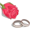 وردة وخاتمان