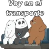 escandalosos (y9sctbzwh7)