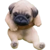 بغ حزين