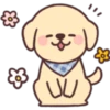 جرو سعيد 🐶  (r2f59jcx7g)