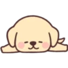 جرو سعيد 🐶  (xdqygwrf9h)