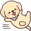 جرو سعيد 🐶  (qmh38xt59s)